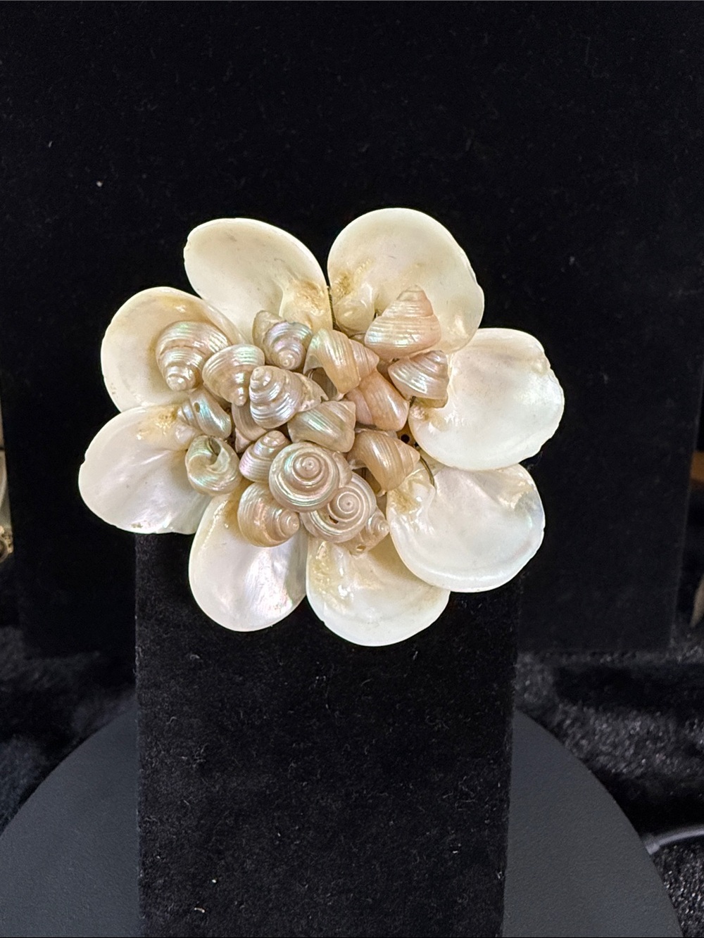 Miriam Haskell Vtg 1940s Seashell Cluster Brooch - Rare WWII Era